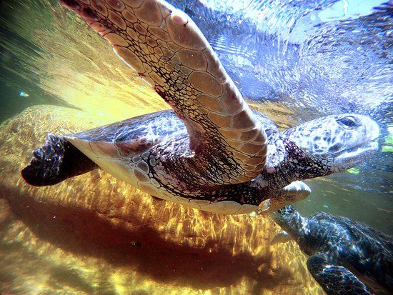 Living Coast Discovery Center